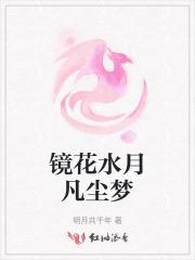 镜花水月的梦