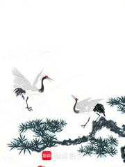 恒界之门