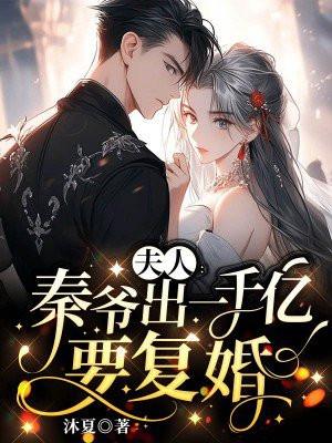 宸爷夫人出价一千亿免费阅读