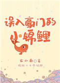 豪门替嫁夫