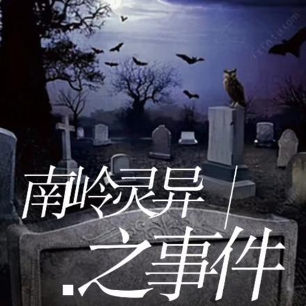 南岭村视频