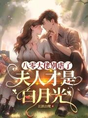 八零之大佬炮灰八妻