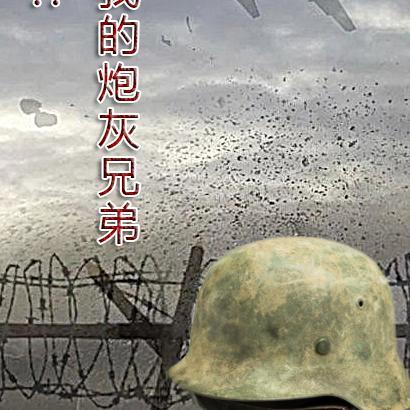 我的团长吧