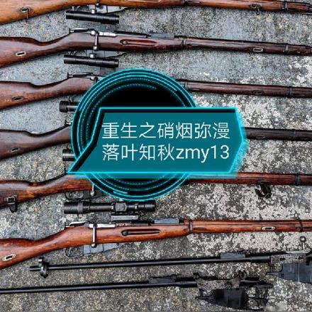 重生后硝烟弥漫的