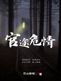 官途危情笔趣阁