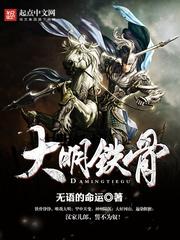 大明铁骨TXT全本