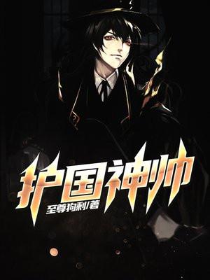 护国神帅叶无道全95集