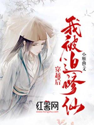 穿越后我被迫修仙男主是谁