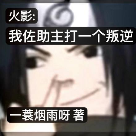 主打一个叛逆忍者