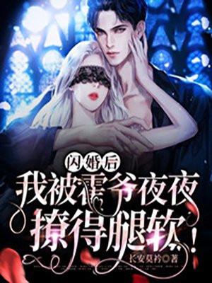 闪婚鲜妻霍少宠妻