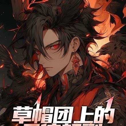草帽海贼团舰队