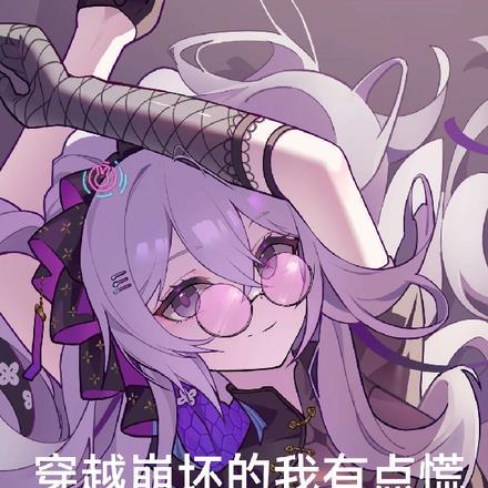 这种穿越崩坏是出bug了吧