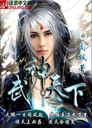 武神天下动漫在线观看
