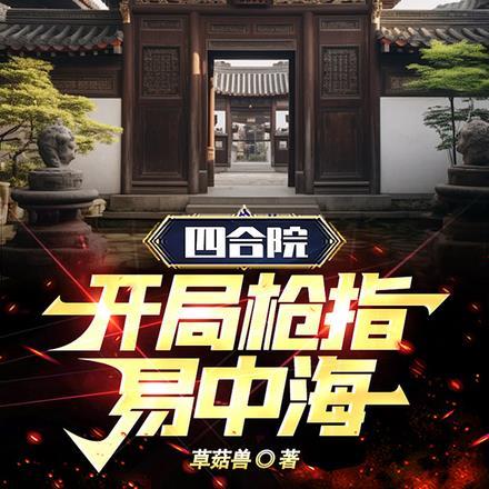 四合院开局枪指易中海的