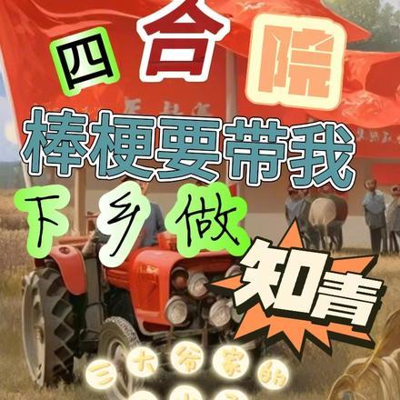 四合院棒梗带我下乡做知青三大爷家的二小子 四合院棒梗带我下乡做知青三大爷家的二小子