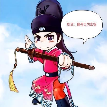 综武最强大内密探