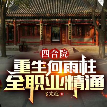 重生四合院何雨水