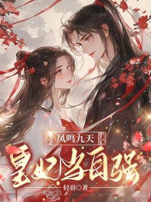 凤鸣九天剧集介绍