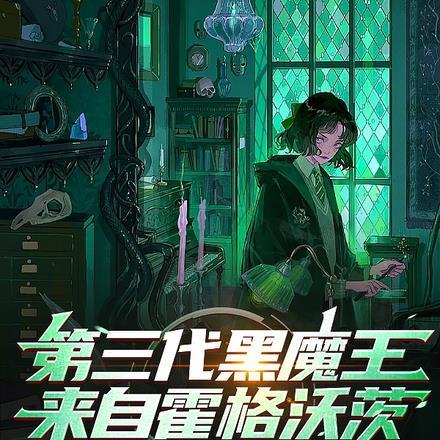 第三代黑魔王来自霍格沃茨 梅酒君