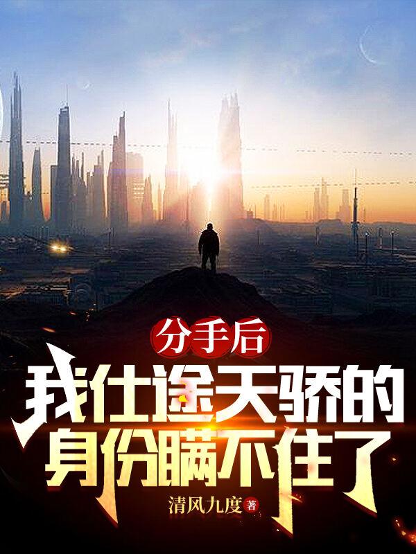 分手后我仕途天骄身份瞒不住了第二部