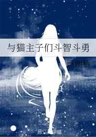 与猫咪斗智斗勇
