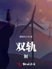 双轨制养老金