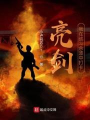 亮剑我在战斗余波中打卡 第95章