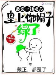皇上你帽子绿了TXT