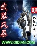 武装风暴txt精校版