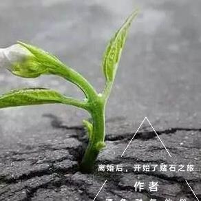 离婚后的我开始开始转运