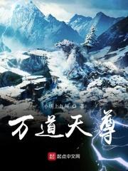 万道天尊白尾的猫