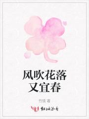 风吹花落泪如雨是什么意思