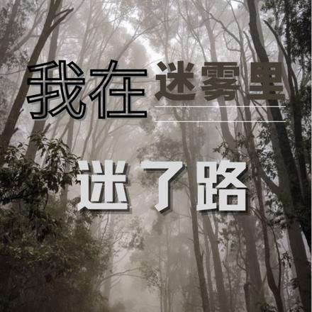 你在迷雾中迷失了方向