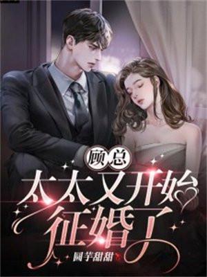 顾总太太又开始征婚了短剧免费观看
