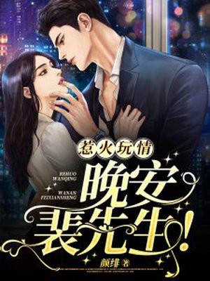 惹火玩情晚安裴先生在线阅读