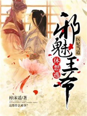 邪王宠妻医妃休想出墙 久雅阁 著
