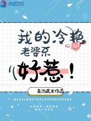 我的冷艳总裁老婆人物简介