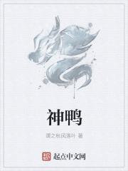神鸭特工双人怎么复活