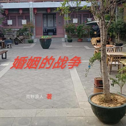 婚姻的战争电影