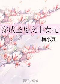 穿成圣母文中女配免费阅读