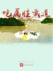 武道全属性顶点