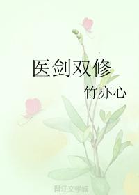 医剑双修TXT全本