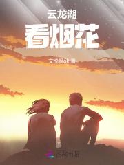 云龙湖烟花几点开放