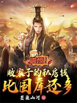 震惊败家子的私房钱比国库还多 作者墨染山河