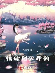 何必唱苦情歌