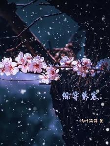 综穿紫宸最新更新