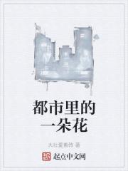 都市花语