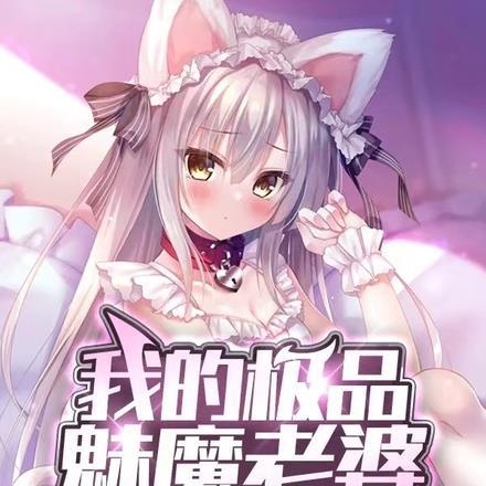 我的极品老婆微剧