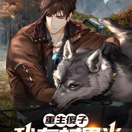 重生乡村傻子的