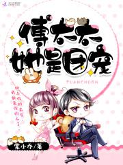 傅太太宠夫有招无弹窗